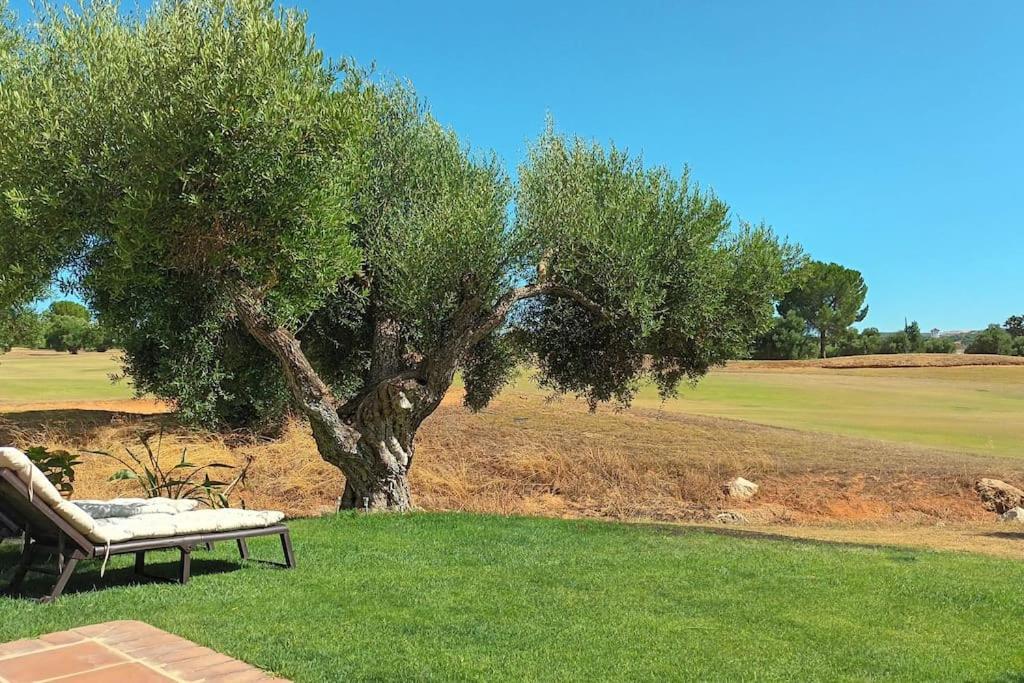 Casa Los Olivos Аркос де ла Фронтера Екстериор снимка