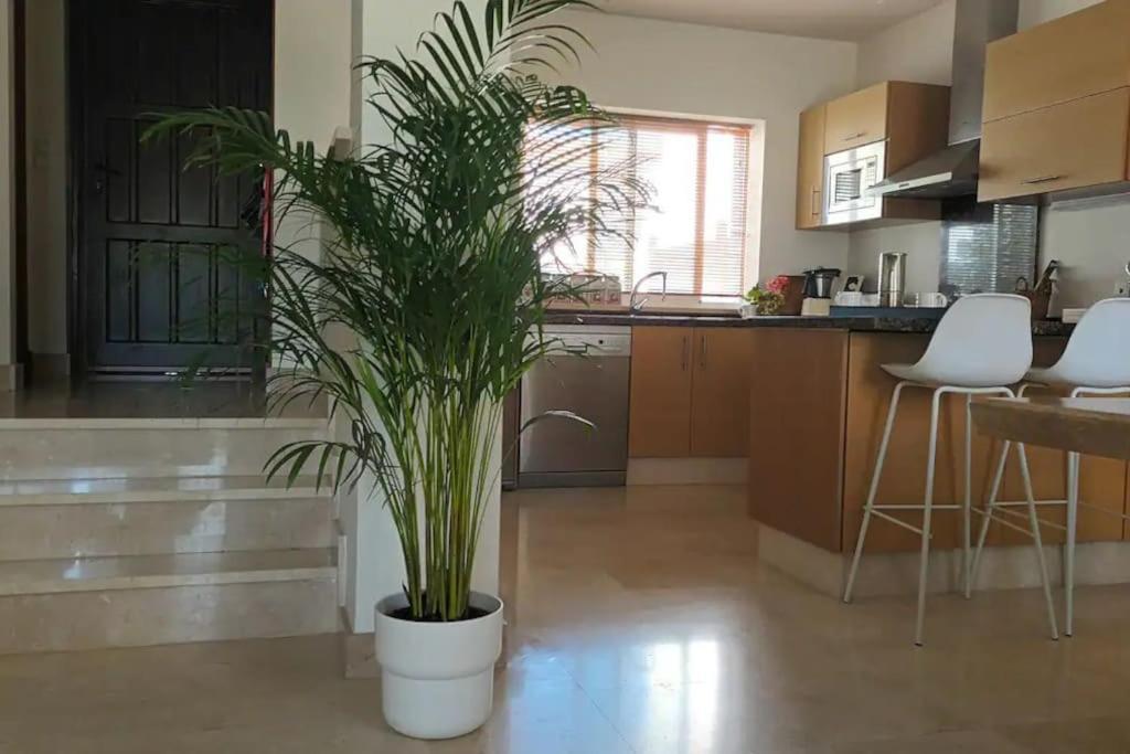 Casa Los Olivos Аркос де ла Фронтера Екстериор снимка