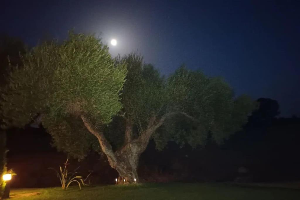 Casa Los Olivos Аркос де ла Фронтера Екстериор снимка