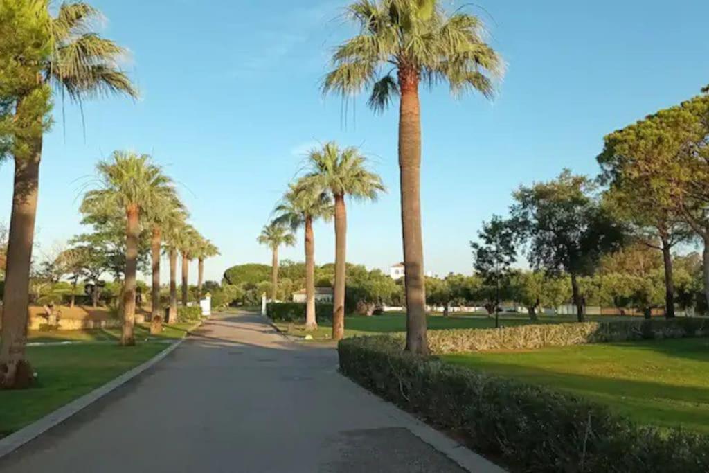 Casa Los Olivos Аркос де ла Фронтера Екстериор снимка